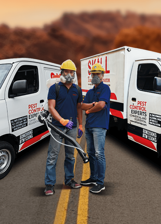 Skill Termite Exterminator Sdn Bhd - Pest Control Professional 1 skill termite exterminator sdn bhd pest control professional