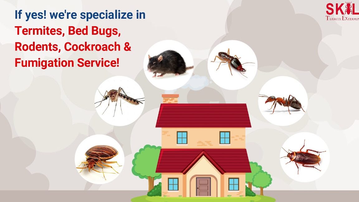 Skill Termite Exterminator 1 skill termite
