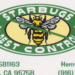 Star Bugs Pest Management 1 star bugs pest management