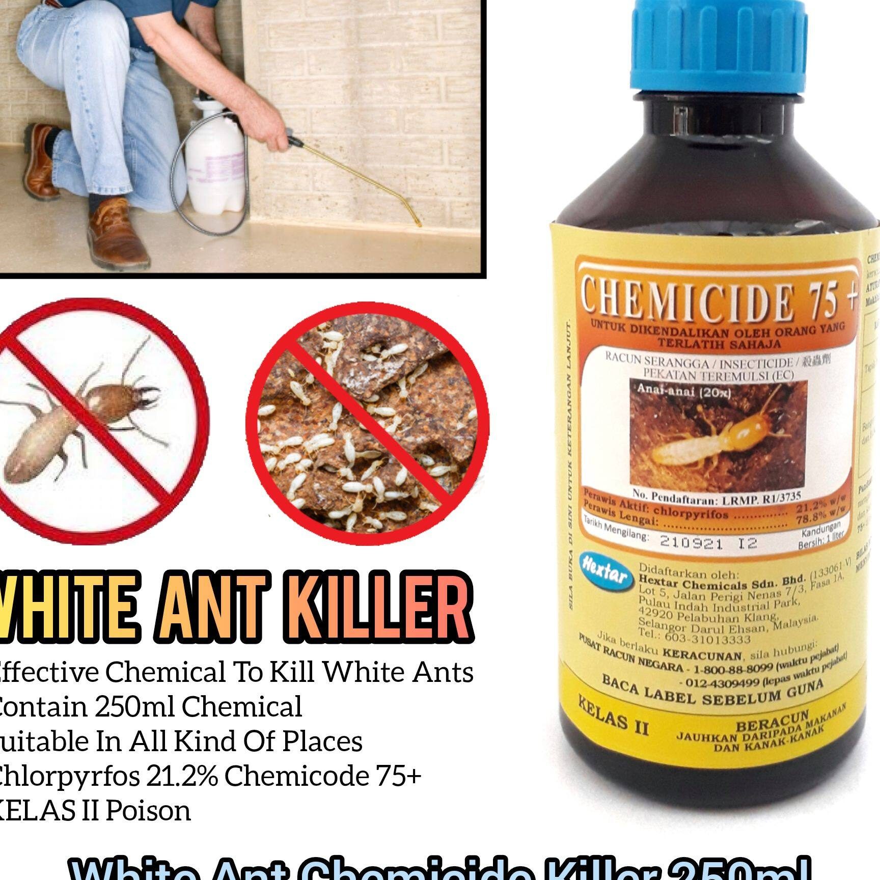 warz pakar racun anai anai