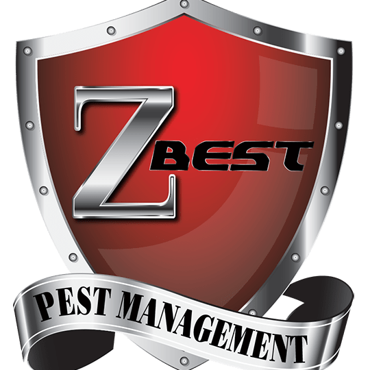 zmn pest control jb